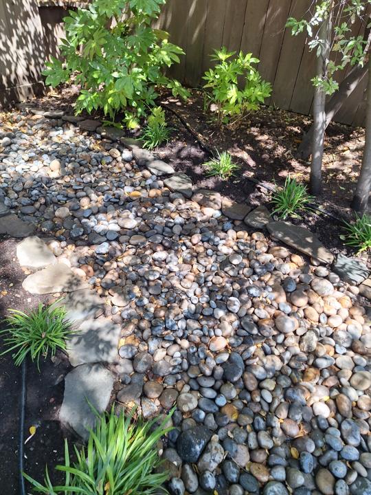 River rock bed with stepping stones and new plants